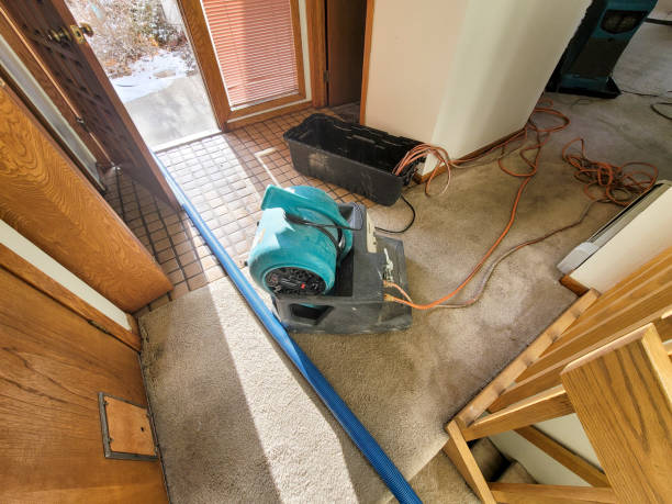 Best Sewage cleanup and water damage restoration  in Wilkes Barre, PA