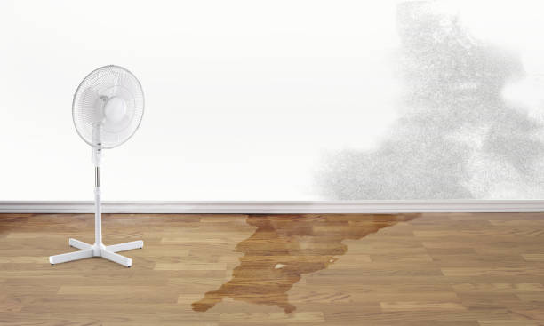 Best Water damage restoration company  in Wilkes Barre, PA