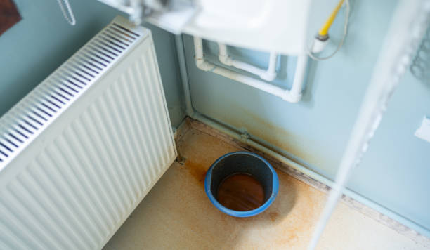 Best Sewage cleanup and water damage restoration  in Wilkes Barre, PA