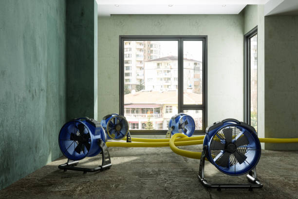 Best Water damage restoration near me  in Wilkes Barre, PA