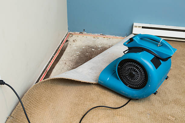 Best Basement water damage restoration  in Wilkes Barre, PA